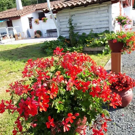 Petit Esperantza Apartment Saint-Pée-sur-Nivelle