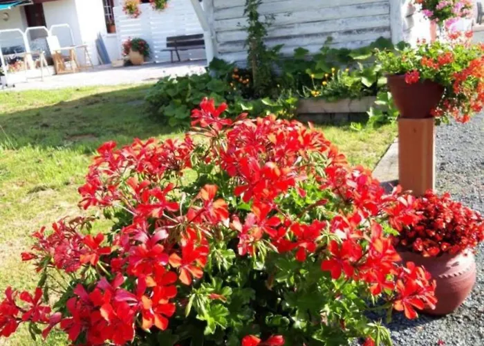 Petit Esperantza Apartment Saint-Pée-sur-Nivelle